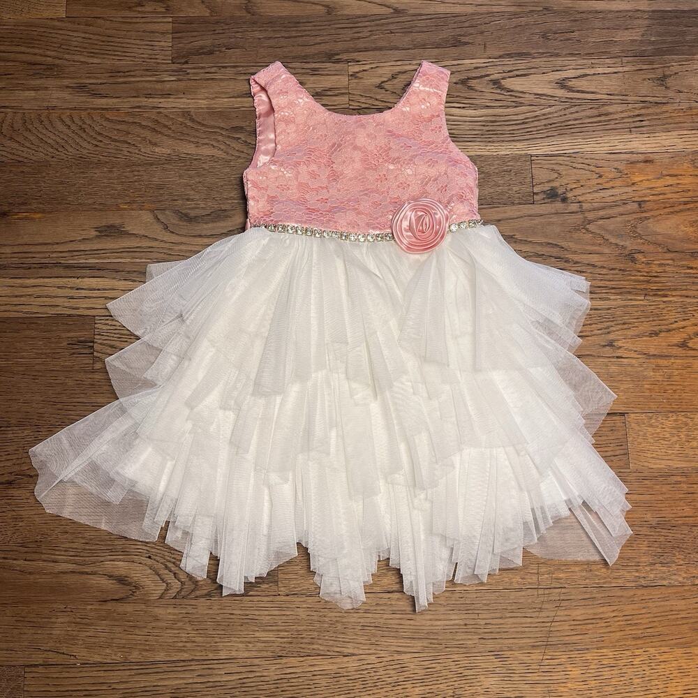 Size 3T Baby Girl Pink White Tulle Dress Jewel Belt Rose Party American Princess - Picture 2 of 16